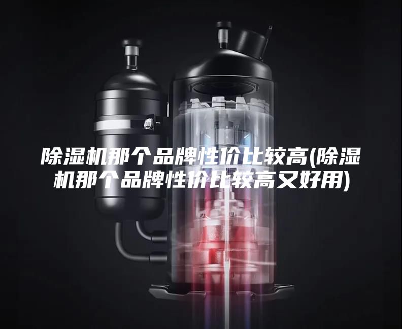 除湿机那个品牌性价比较高(除湿机那个品牌性价比较高又好用)