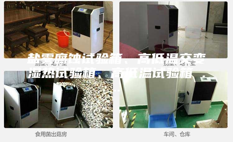 盐雾腐蚀试验箱、高低温交变湿热试验箱、高低温试验箱 ...