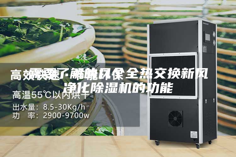 需要了解的几个全热交换新风净化除湿机的功能