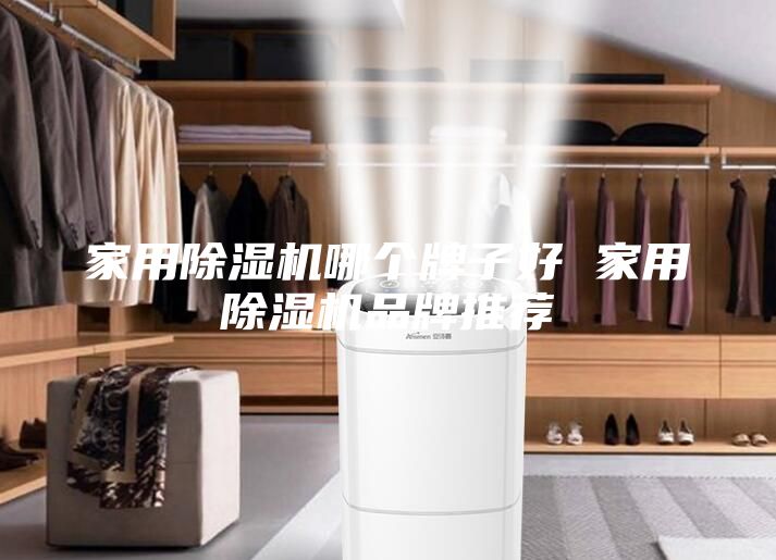 家用除湿机哪个牌子好 家用除湿机品牌推荐