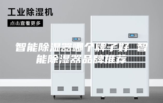 智能除湿器哪个牌子好 智能除湿器品牌推荐