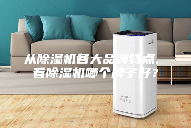 从除湿机各大品牌特点, 看除湿机哪个牌子好？