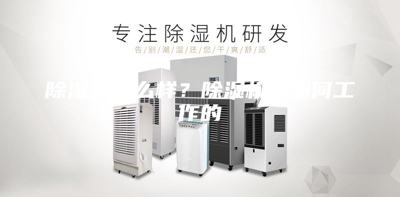 除湿机怎么样？除湿机是如何工作的