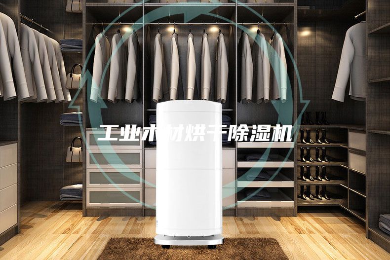 工业木材烘干除湿机