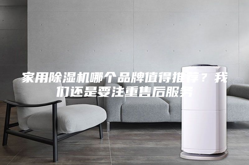 家用除湿机哪个品牌值得推荐？我们还是要注重售后服务