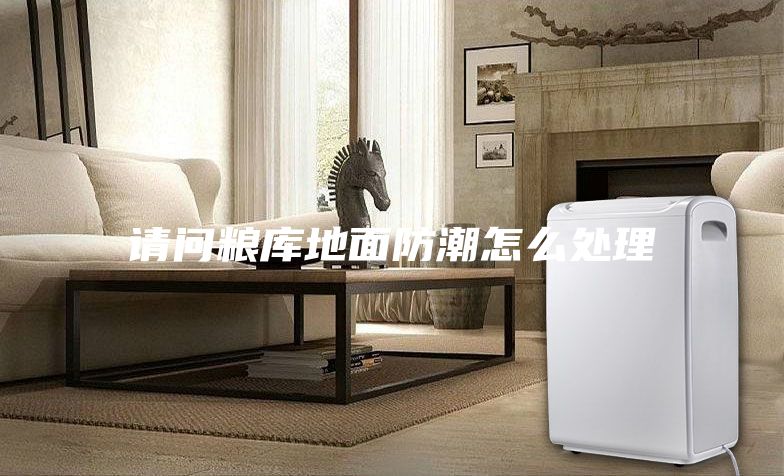 请问粮库地面防潮怎么处理