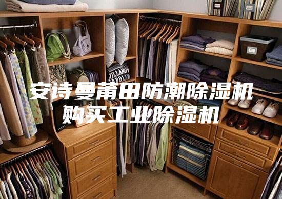 安诗曼莆田防潮除湿机购买工业除湿机