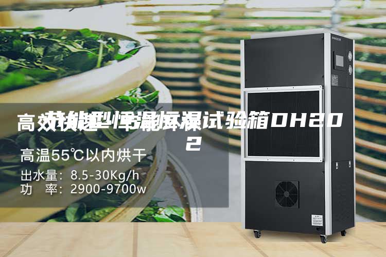 节能型恒温恒湿试验箱DH202