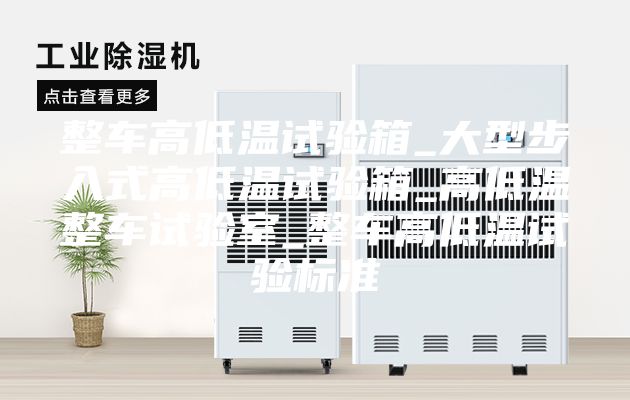 整车高低温试验箱_大型步入式高低温试验箱_高低温整车试验室_整车高低温试验标准