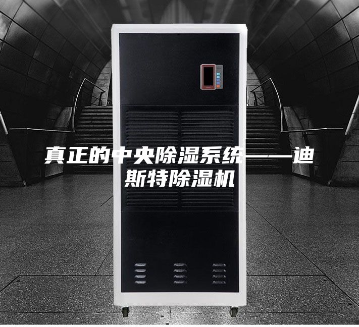 真正的中央除湿系统——迪斯特除湿机