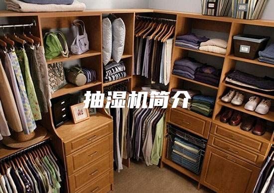 抽湿机简介