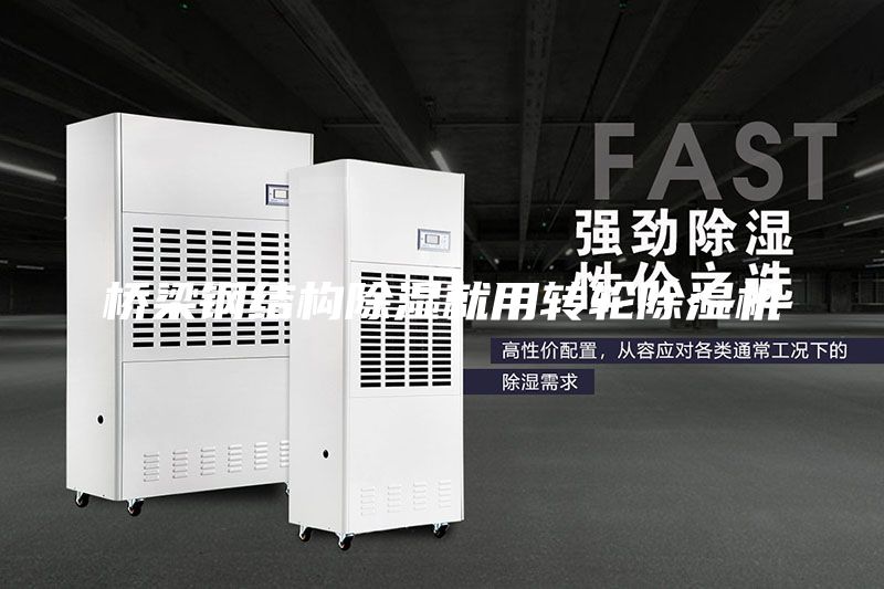 桥梁钢结构除湿就用转轮除湿机
