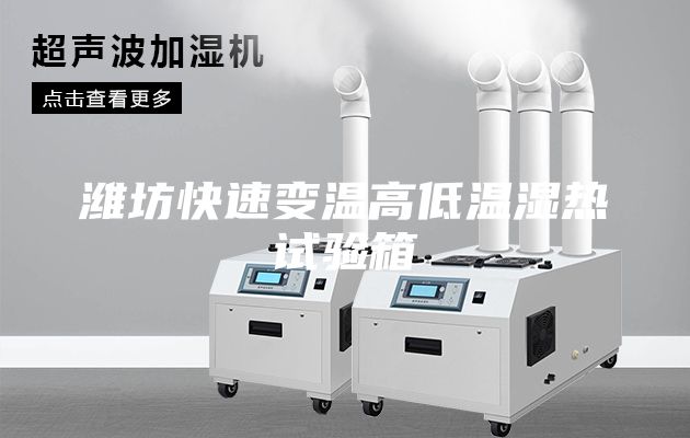 潍坊快速变温高低温湿热试验箱