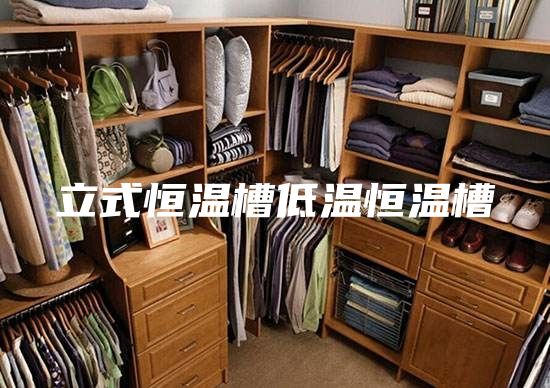 立式恒温槽低温恒温槽