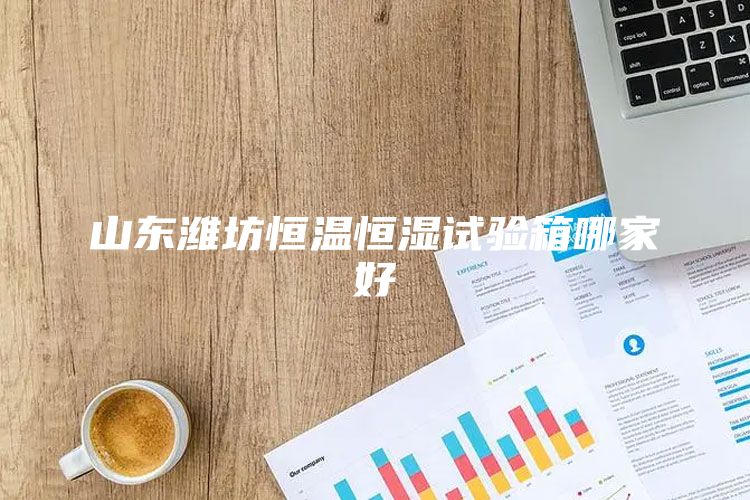 山东潍坊恒温恒湿试验箱哪家好