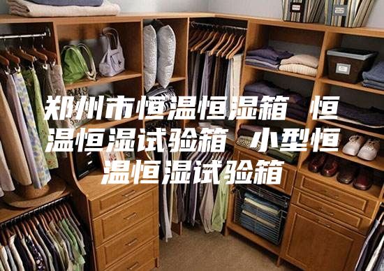 郑州市恒温恒湿箱 恒温恒湿试验箱 小型恒温恒湿试验箱