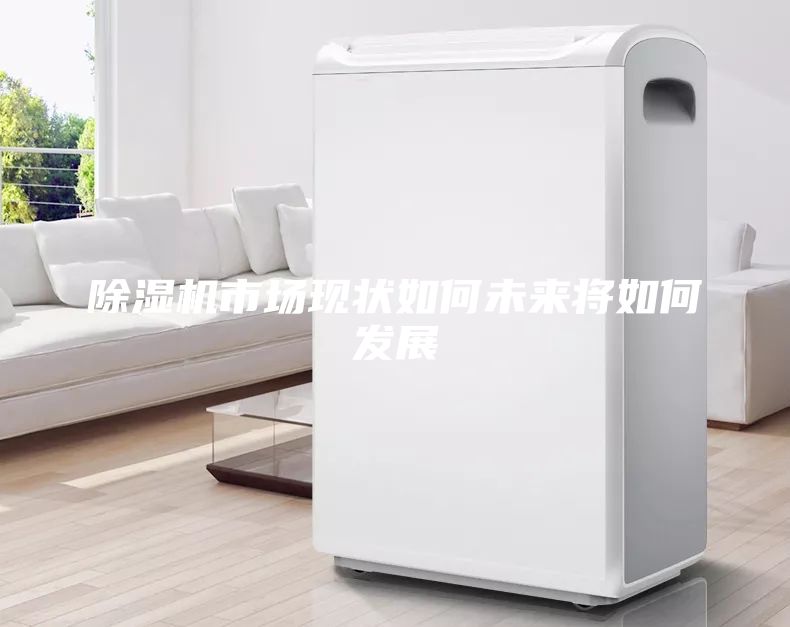 除湿机市场现状如何未来将如何发展