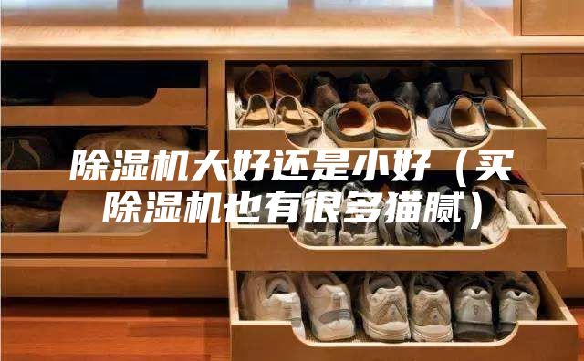 除湿机大好还是小好（买除湿机也有很多猫腻）