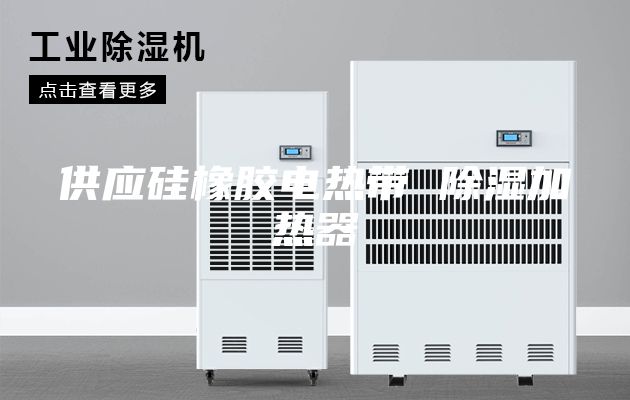 供应硅橡胶电热带 除湿加热器
