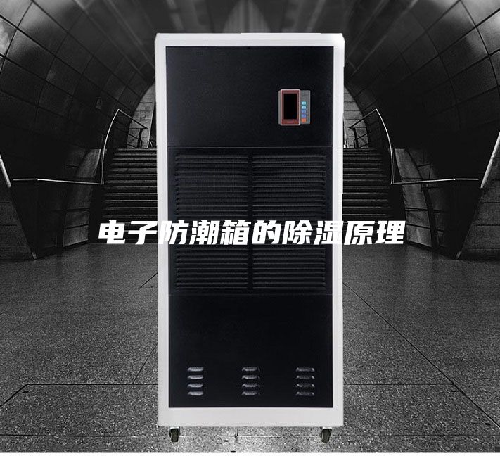 电子防潮箱的除湿原理