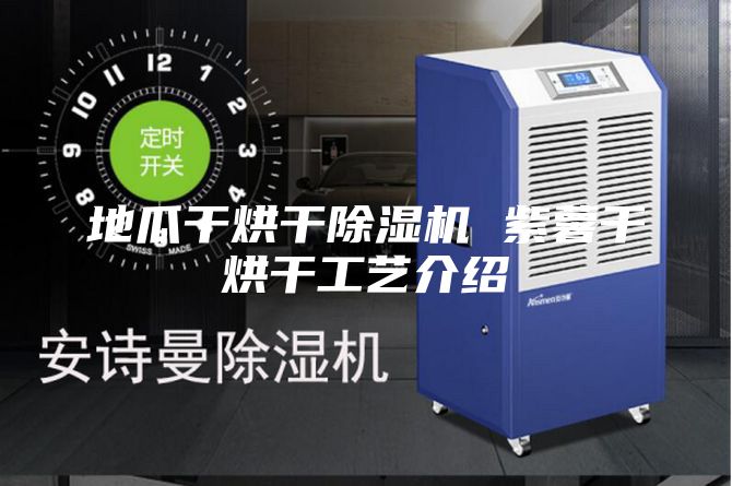 地瓜干烘干除湿机 紫薯干烘干工艺介绍