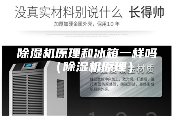 除湿机原理和冰箱一样吗（除湿机原理）