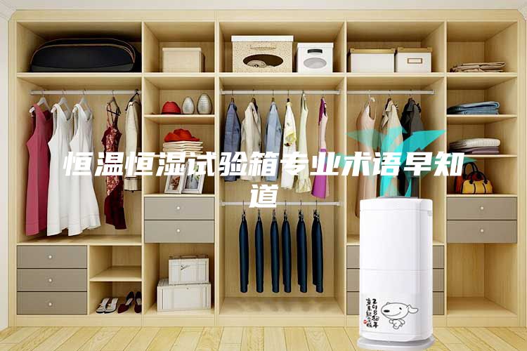 恒温恒湿试验箱专业术语早知道