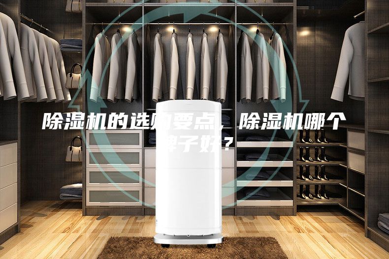 除湿机的选购要点，除湿机哪个牌子好？