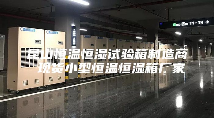 昆山恒温恒湿试验箱制造商 现货小型恒温恒湿箱厂家