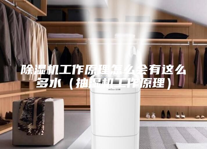 除湿机工作原理怎么会有这么多水（抽湿机工作原理）