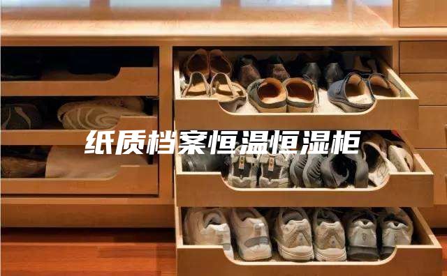 纸质档案恒温恒湿柜