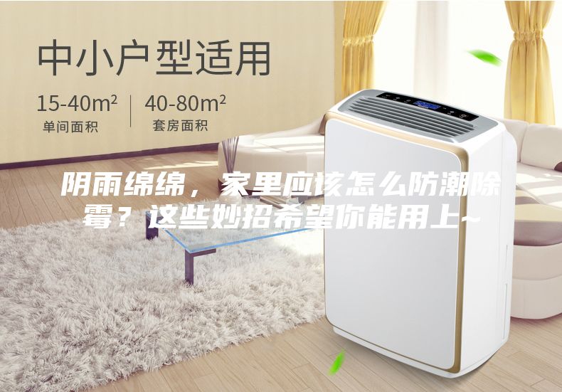 阴雨绵绵，家里应该怎么防潮除霉？这些妙招希望你能用上~