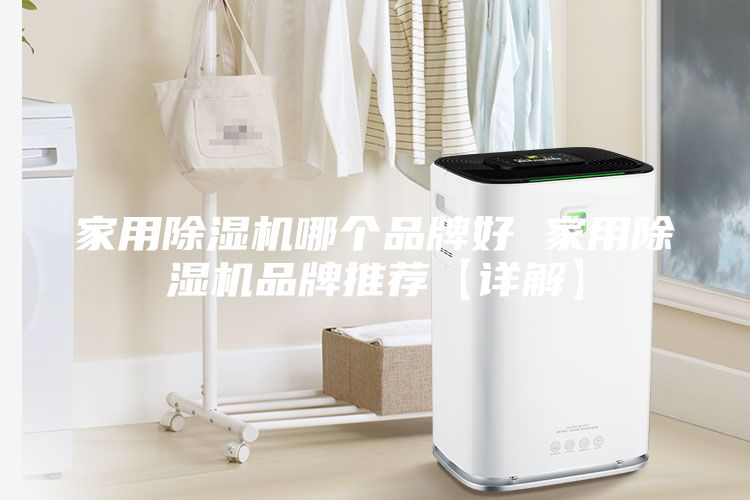 家用除湿机哪个品牌好 家用除湿机品牌推荐【详解】