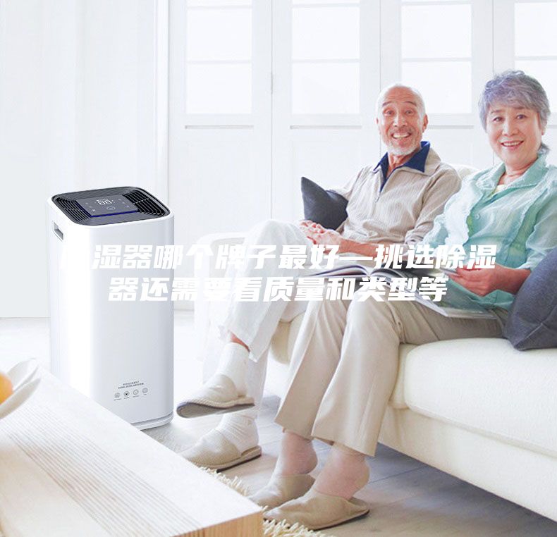 除湿器哪个牌子最好—挑选除湿器还需要看质量和类型等