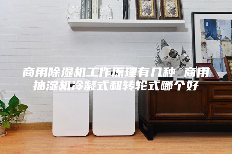 商用除湿机工作原理有几种 商用抽湿机冷凝式和转轮式哪个好