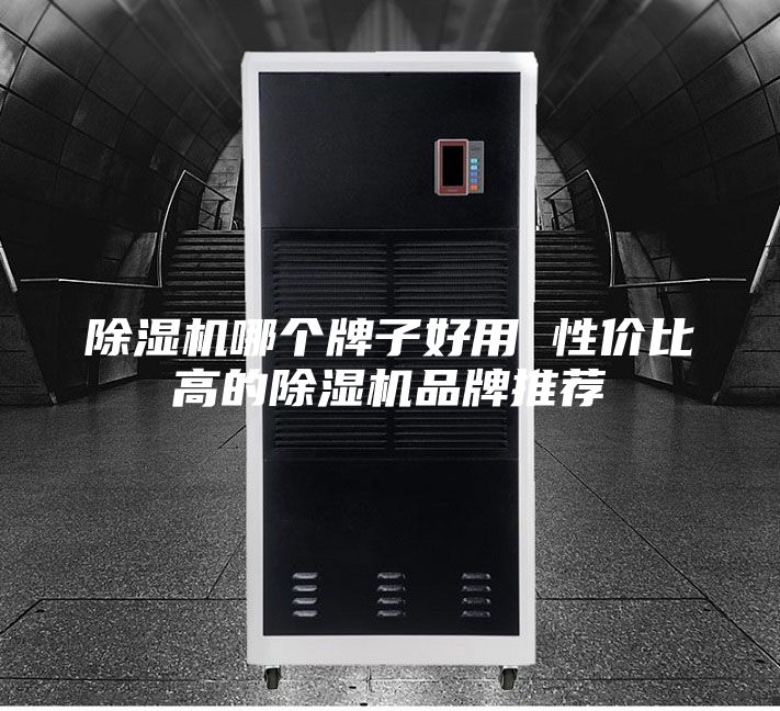 除湿机哪个牌子好用 性价比高的除湿机品牌推荐