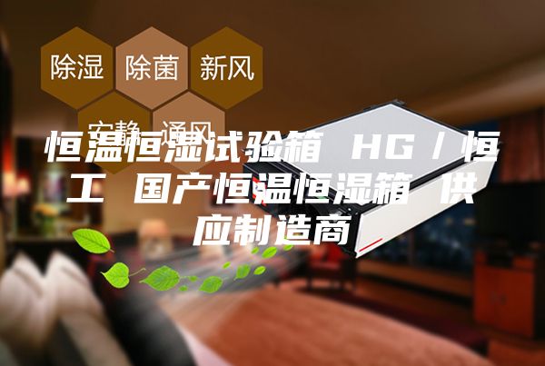 恒温恒湿试验箱 HG／恒工 国产恒温恒湿箱 供应制造商