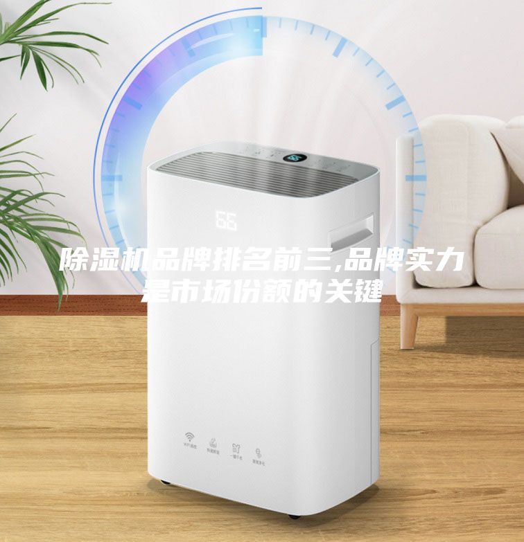 除湿机品牌排名前三,品牌实力是市场份额的关键