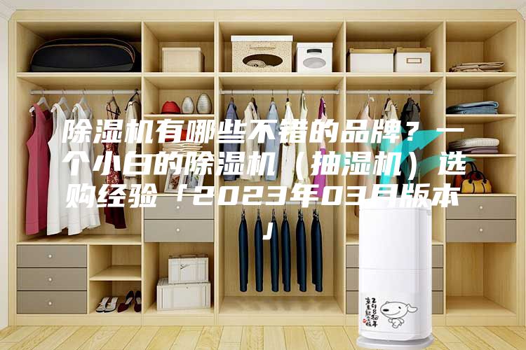 除湿机有哪些不错的品牌？一个小白的除湿机（抽湿机）选购经验「2023年03月版本」