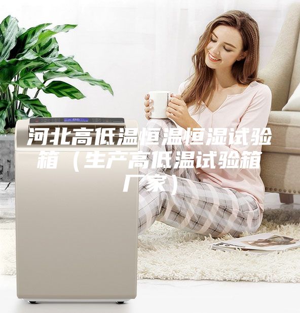 河北高低温恒温恒湿试验箱（生产高低温试验箱厂家）