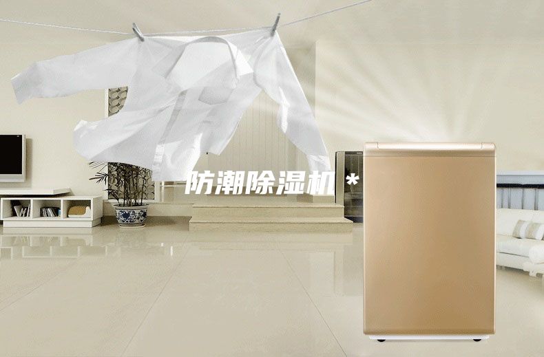 防潮除湿机＊
