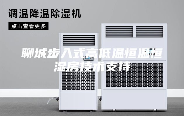 聊城步入式高低温恒温恒湿房技术支持