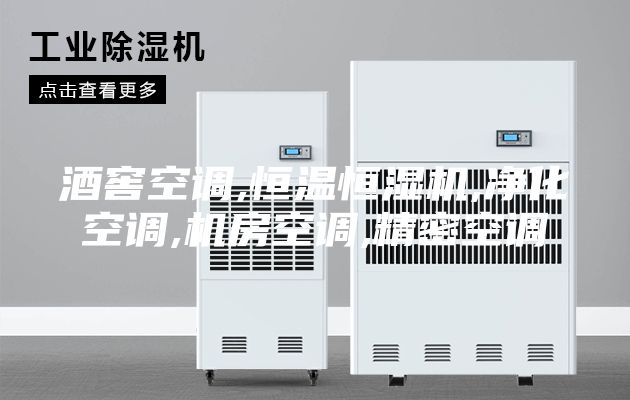 酒窖空调,恒温恒湿机,净化空调,机房空调,精密空调