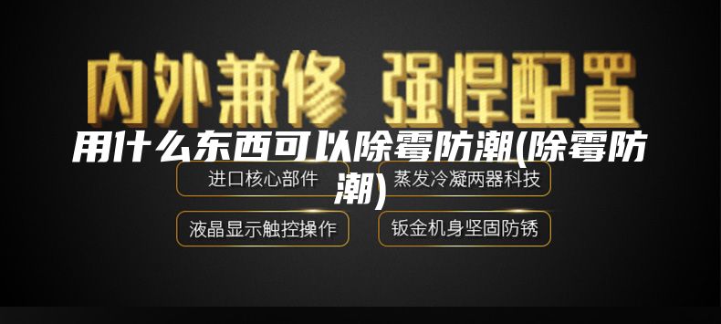 用什么东西可以除霉防潮(除霉防潮)