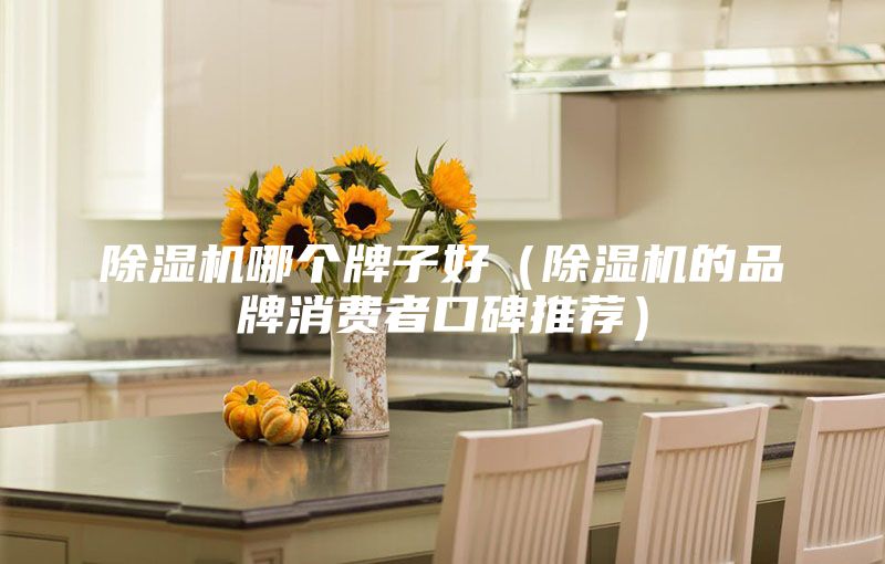 除湿机哪个牌子好（除湿机的品牌消费者口碑推荐）