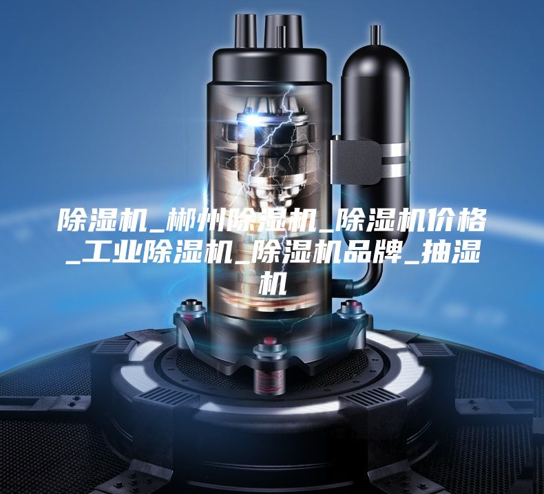 除湿机_郴州除湿机_除湿机价格_工业除湿机_除湿机品牌_抽湿机