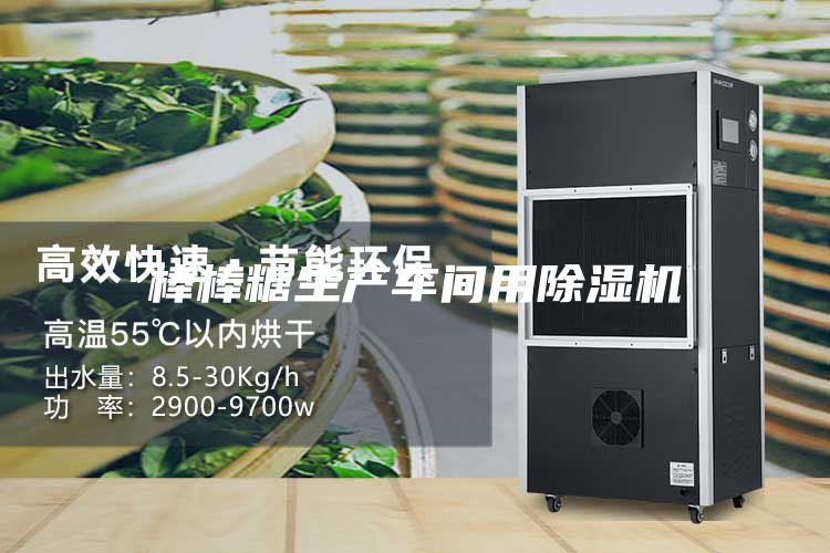 棒棒糖生产车间用除湿机