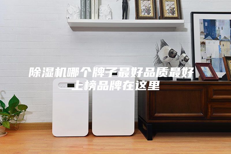 除湿机哪个牌子最好品质最好 上榜品牌在这里