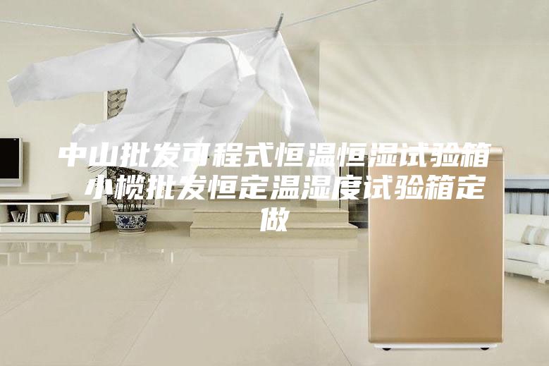 中山批发可程式恒温恒湿试验箱 小榄批发恒定温湿度试验箱定做