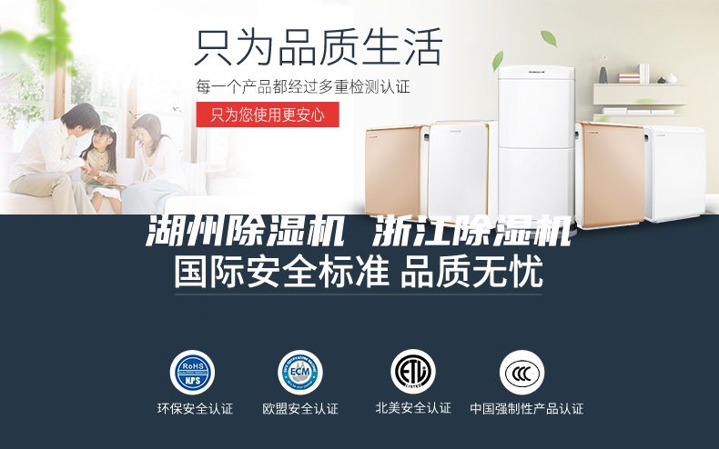 湖州除湿机 浙江除湿机